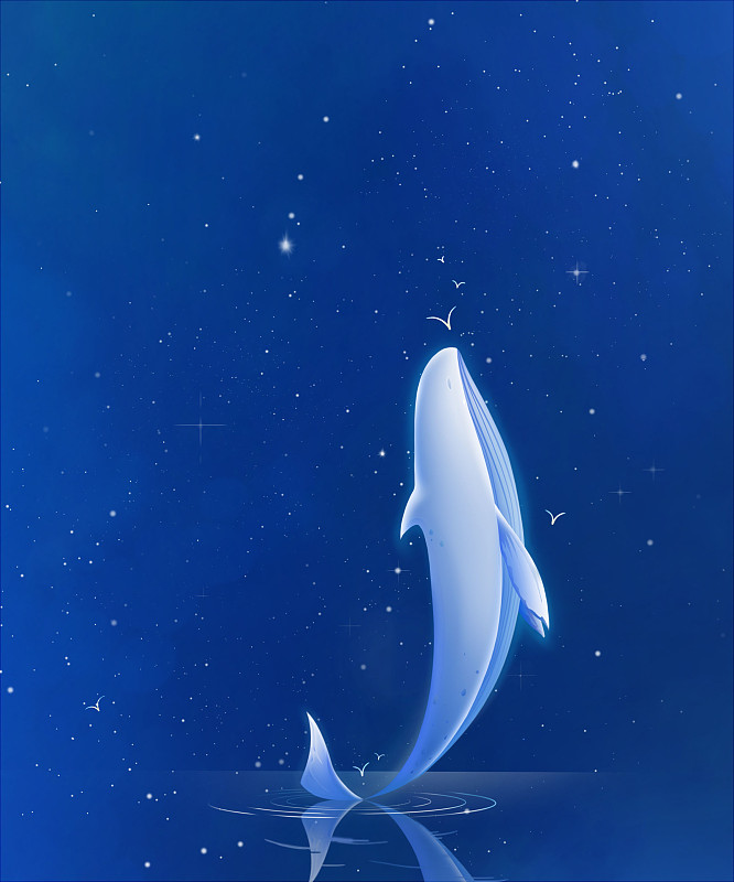 星光中,跃起向上的鲸鱼亲吻小小的飞鸟,深蓝色唯美治愈系蓝鲸主题插画