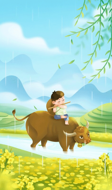 春天清明雨季中骑在牛背上的牧童图片下载
