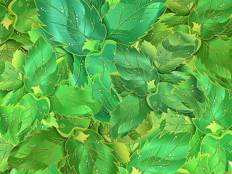 绿色植物薄荷叶壁纸模版图片下载