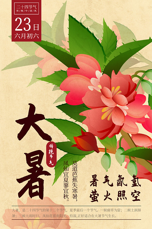 二十四节气新中式植物海报-12大暑-凤仙花图片下载