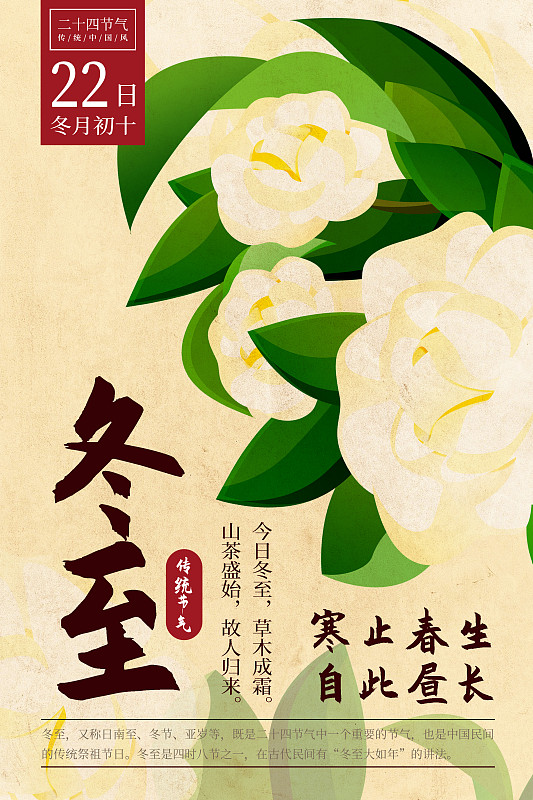 二十四节气新中式植物海报-22冬至-山茶花图片下载