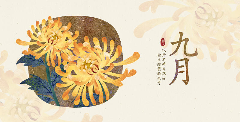 九月重阳节祭祖岩彩手绘节日菊花图片下载