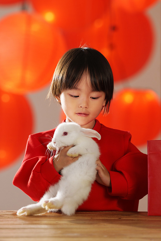 可爱的小男孩抱着小白兔图片下载
