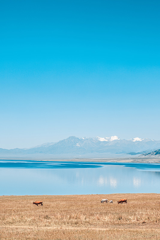 新疆赛里木湖风景图片下载