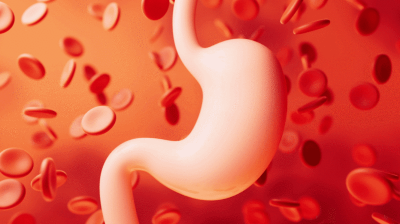 胃部消化系统医疗概念3D渲染图片下载