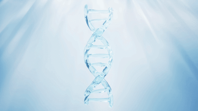 生物科技概念透明DNA与蓝色背景3D渲染图片下载