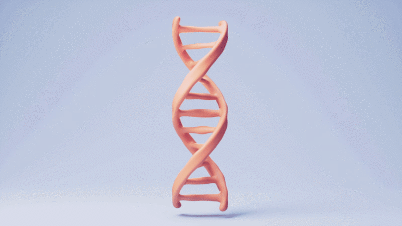 生物DNA与卡通医药医疗爱心3D渲染图片下载