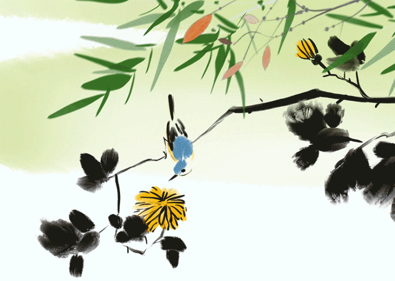 菊花，小鸟，竹子图片下载