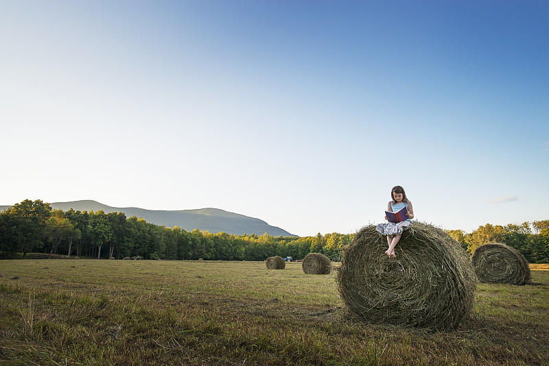 田野上满是又高又圆的干草包，一个年轻的姑娘坐在一个大草包的上面。图片下载