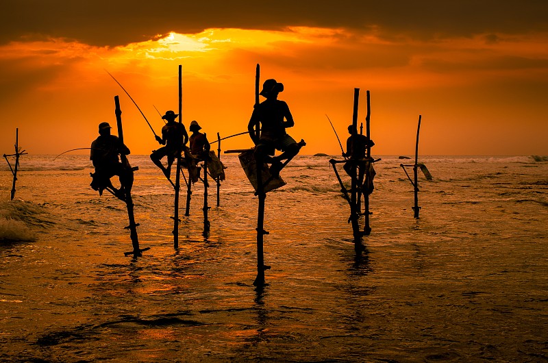 斯里兰卡传统的竹竿渔民在日落时分图片下载