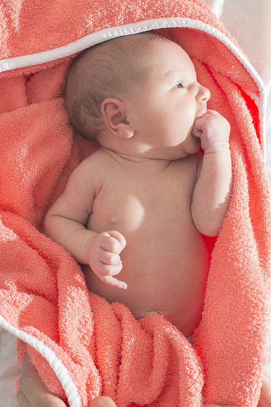 新生儿洗澡。图片素材