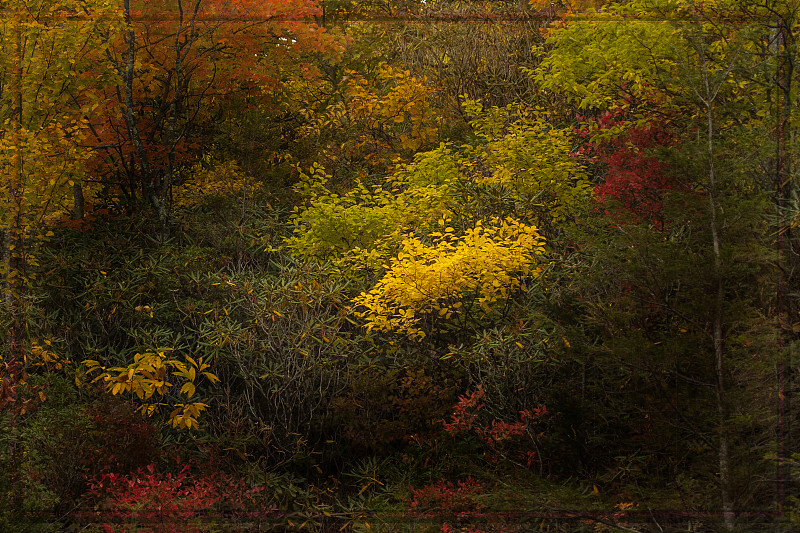 秋天的颜色图片下载