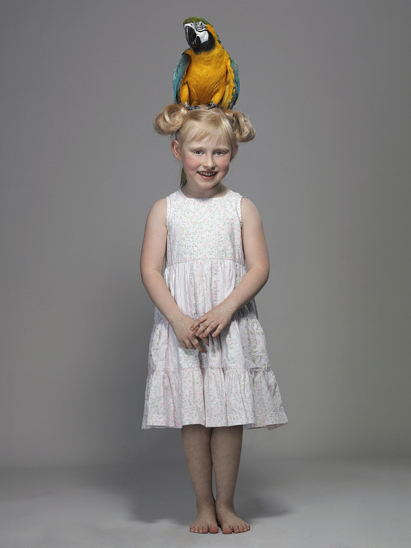 金刚鹦鹉坐在女孩的头上图片素材