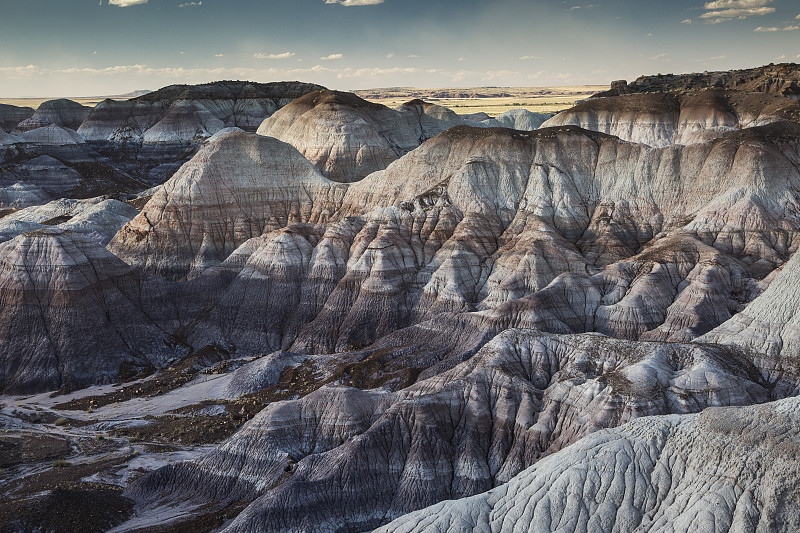 蓝色台面石化森林国家公园，美国亚利桑那州图片下载