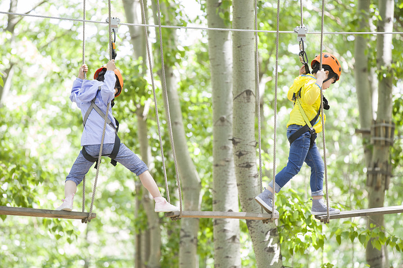 快乐的孩子们挑战树上穿越项目图片下载