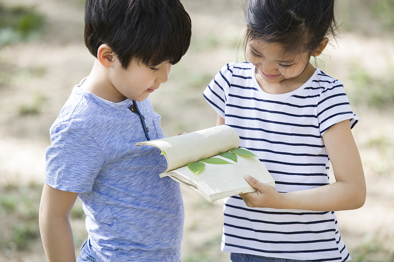 儿童在树林里采集树叶做标本图片下载
