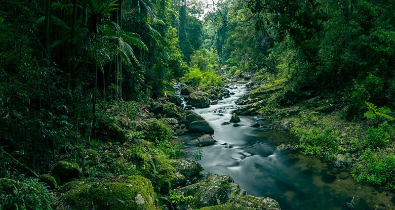 雨林溪图片素材