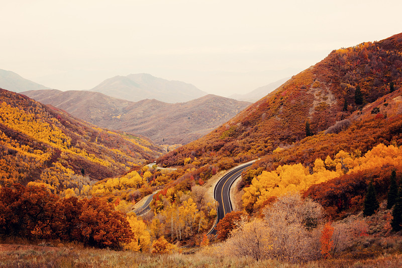 秋色的树木沿着山路图片下载