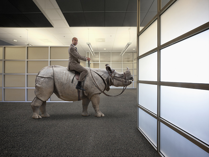 办公室里，商人骑在犀牛上图片下载