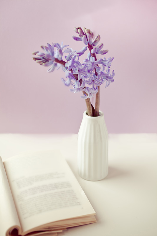 紫色的花的花瓶图片下载