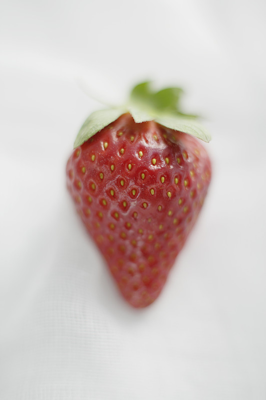 草莓特写图片下载