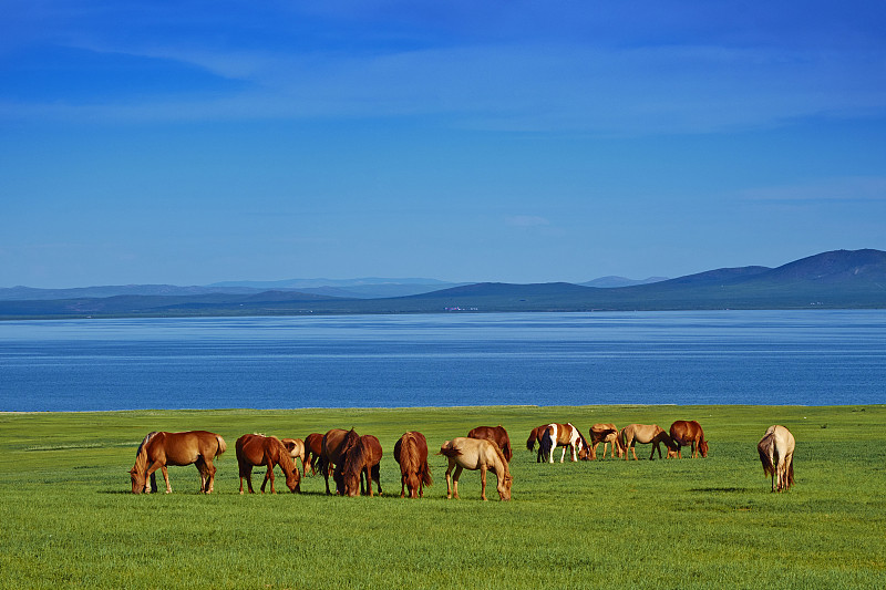 蒙古，阿尔汉盖省，奥吉努尔湖图片下载