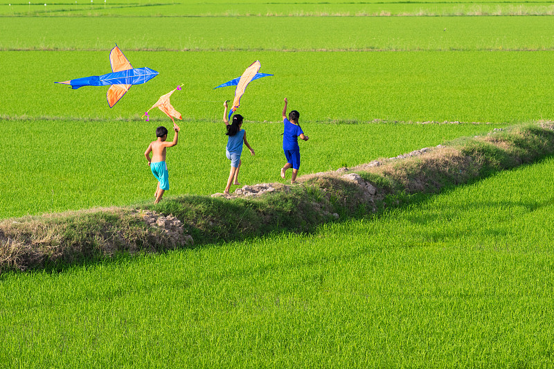 亚洲的孩子们在绿色稻田的小路上玩风筝图片素材