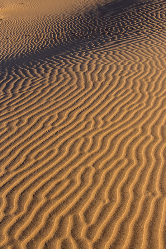 摩洛哥，撒哈拉，切比，沙漠沙丘的图案图片下载