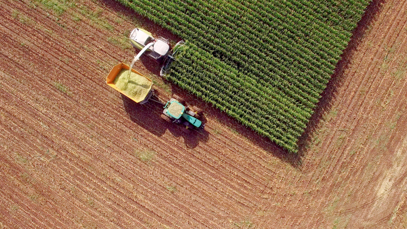 收割玉米作为饲料或乙醇的农业机器图片下载