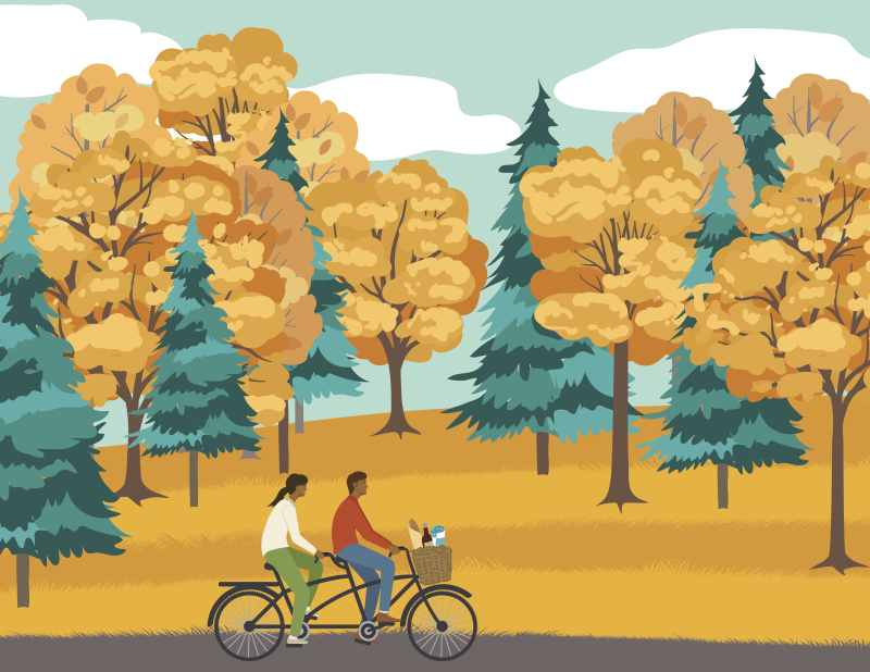 一对在公园小路上骑自行车的夫妇图片下载