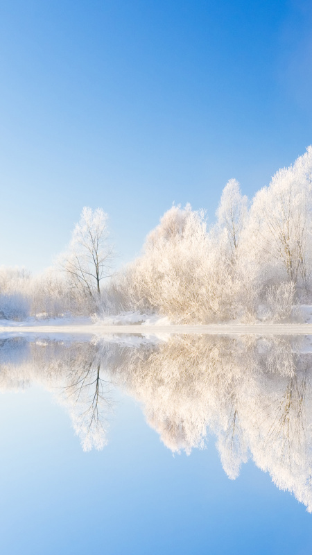 白雪覆盖的树木在平静的湖对清澈的蓝天图片素材