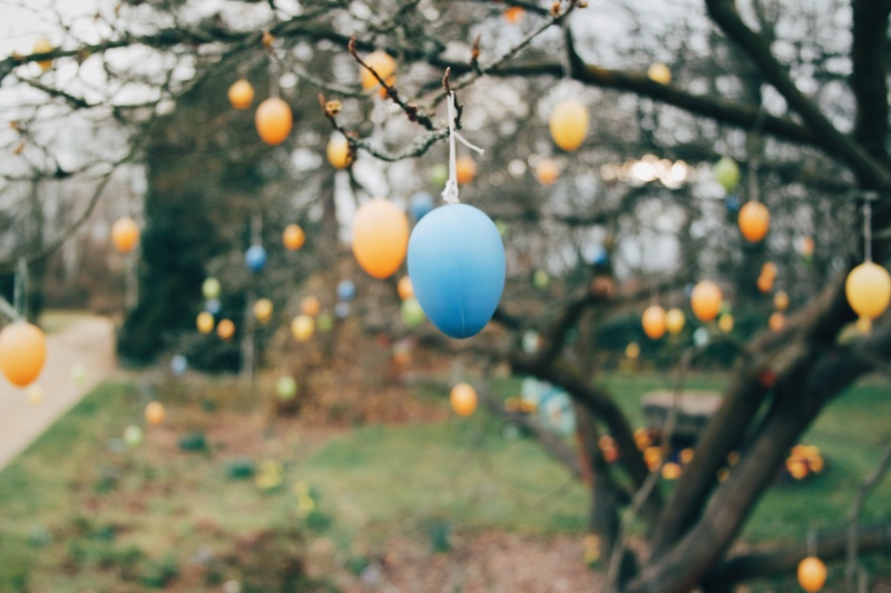 挂在公园树上的复活节彩蛋图片素材