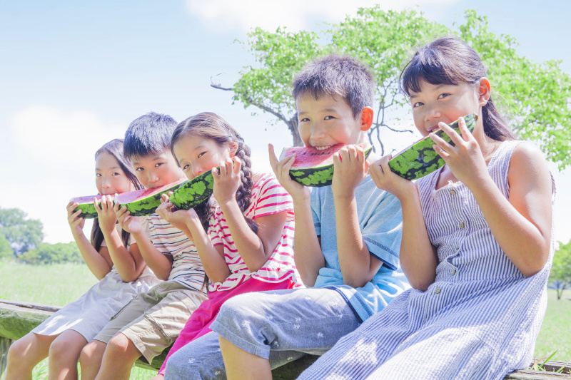 日本小学生吃西瓜图片素材
