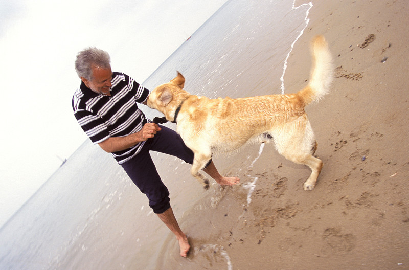 Man playing with pet dog at beach图片素材