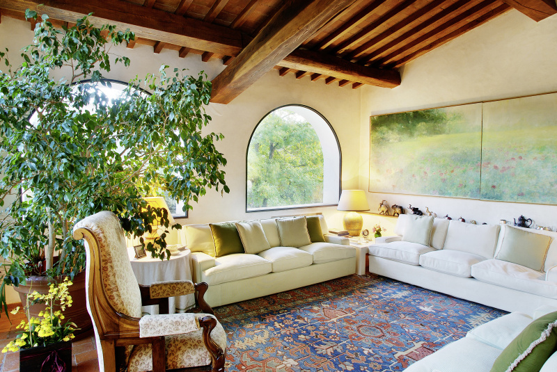 有沙发、地毯、植物和椽天花板的客厅图片下载