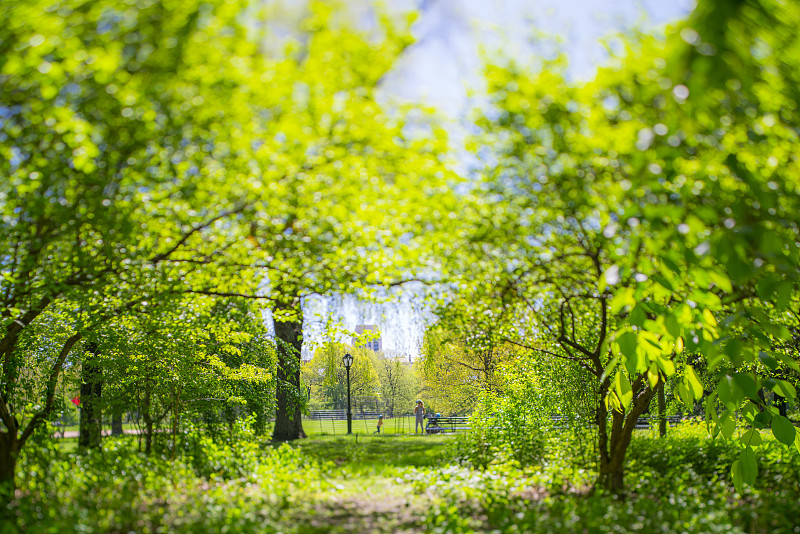 2019年5月6日，在美国纽约，人们在中央公园的草坪上散步。图片下载