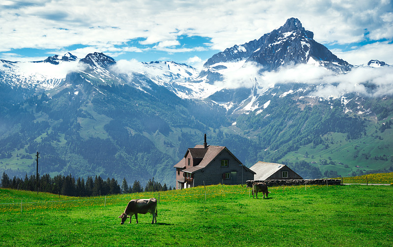 》剧组,瑞士。绿色的田野和著名的格林德沃镇与阿尔卑斯山北坡，伯尔尼斯高地，瑞士，欧洲图片素材