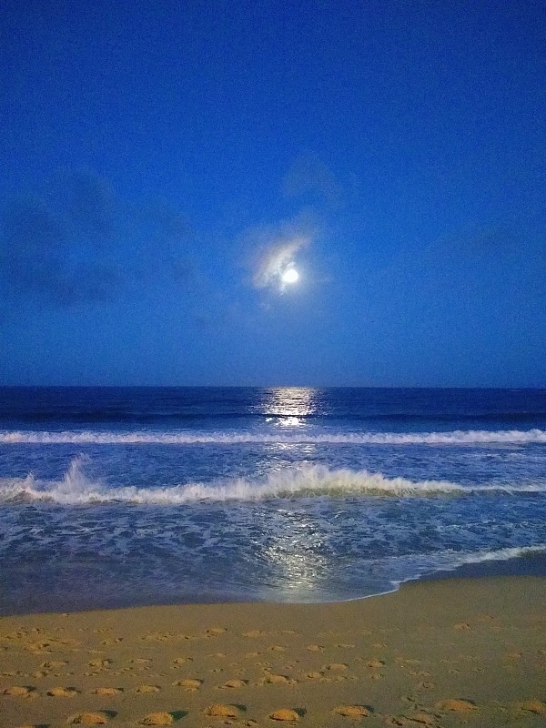 海滩上的月亮图片素材