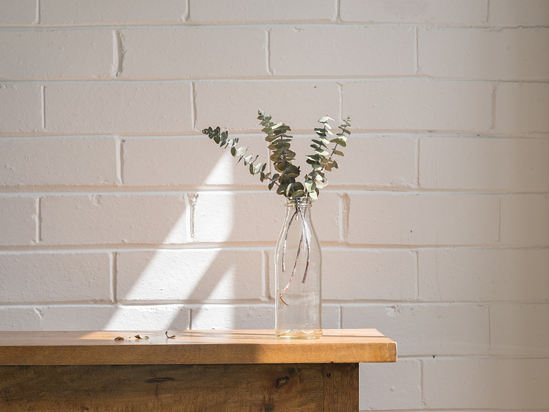 特写干燥的桉树叶在玻璃瓶在木架上对着粉刷的白色砖墙图片素材