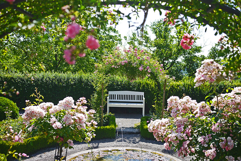 玫瑰花园，白色长凳图片素材