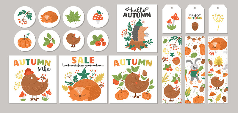 可爱的秋季销售卡片设计与鸟，狐狸，南瓜，蘑菇。矢量方形、圆形、水平、垂直打印模板。秋季林地动物的标签，明信片，出售。图片下载