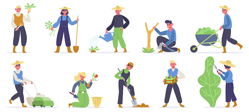 园艺字符。农场工人，园丁种植，浇水和收集农业植物和绿色植物。园丁工作矢量插图图片素材