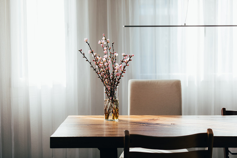 客厅木桌上花瓶里的杏花枝。图片素材
