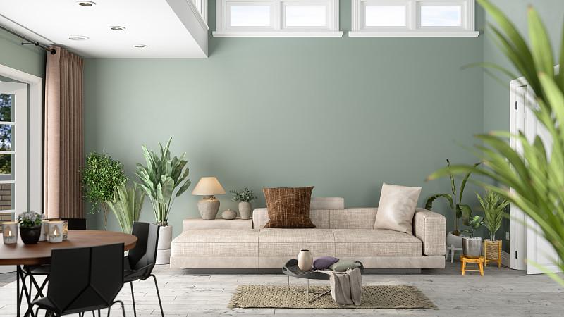 现代客厅室内绿色植物，沙发和绿色墙背景图片下载