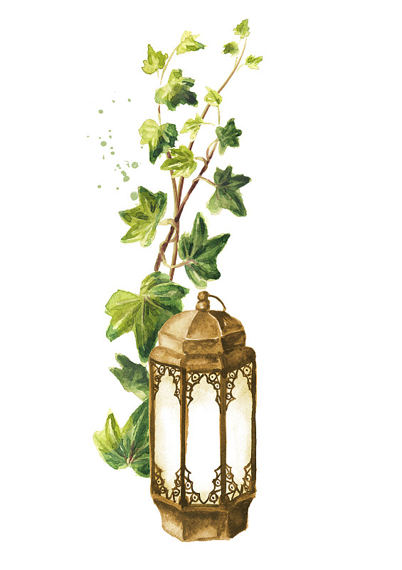 旧铁灯笼和绿色的常春藤树枝，手绘水彩插图，孤立在白色背景图片下载