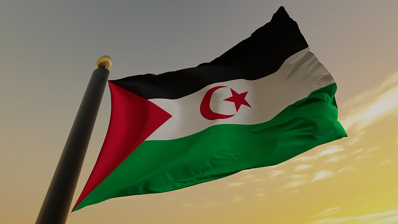 阿拉伯撒哈拉民主共和国国旗摄影图片