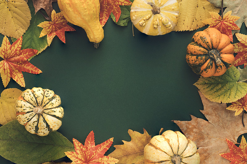 秋天或秋天场景背景与树叶和南瓜。简约的自然季节概念。感恩作文，平躺。图片下载
