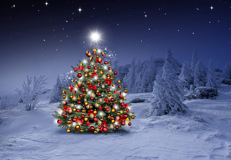 在蓝色雪地背景下闪闪发光的圣诞树图片下载