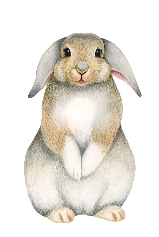 水彩和彩色铅笔插图与可爱的复活节兔子为孩子的房间墙壁海报，节日装饰和贺卡设计图片下载