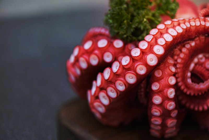 在木砧板上煮章鱼触须，章鱼菜煮沙拉海鲜鱿鱼墨鱼晚餐餐厅图片下载